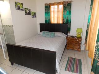 Stewart Apt- Trincity, Airport, Washer, Dryer, Office, Cable , WiFi - Trincity - 6
