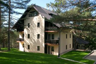 Vila Pina - Zlatibor - 5