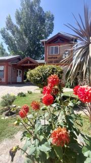 Las Lechuzas Complejo - 9