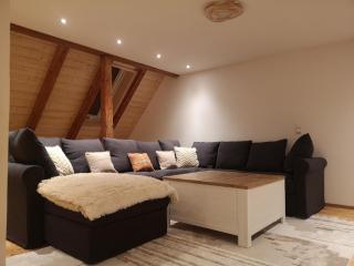 Moderne Ferienwohnung Mit Hot Tub Und Fasssauna - Hohenberg an der Eger - 2