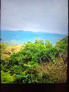 The Ireland Place Tayrona - Santa Marta - 3