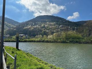 Altes Eichamt - Bernkastel-Kues - 6