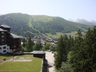 Appartement cosy 2 pièces à Valmorel, 50m des pistes, animaux acceptés - FR-1-356-440 - Valmorel - 3