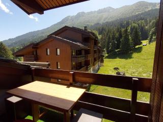 Studio cosy 4 pers., balcon, à 80m des pistes, animaux acceptés, parking - FR-1-356-466 - Valmorel - 1