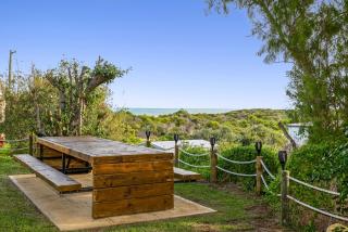 Coastal Pine - Guilderton - 0