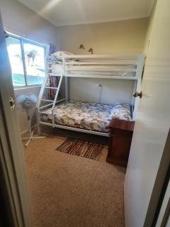 Coastal Pine - Guilderton - 9