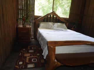 Castaña Amazon Park - 3