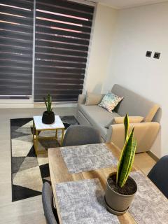 Hermoso y nuevo departamento a pasos de los mejores atractivos de Viña - 4