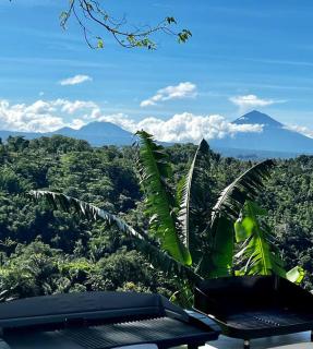 Pondok Plantation, Mountain Villa Escape Bedugul - 5