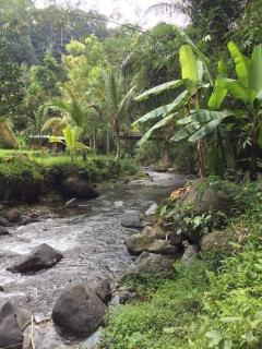 Pondok Plantation, Mountain Villa Escape Bedugul - 1