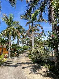 Gold View Beachfront Resort - 0