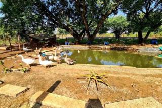 Bon Accord Farmstead Retreat - 6