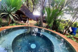 Bon Accord Farmstead Retreat - 4