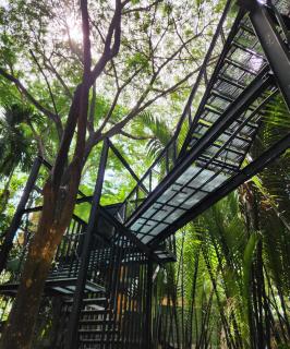 Hiddenwoods - Bang Chak - 5