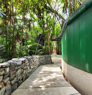 Hiddenwoods - Bang Chak - 8