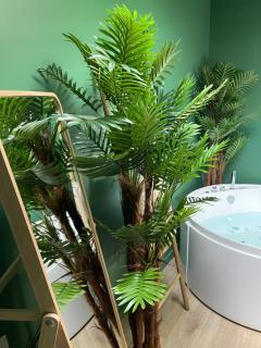 Évasion exotique - Suite Selva - Jaccuzzi privatif - Amiens - 4