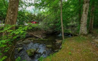 Scenic Creek - Gatlinburg - 7