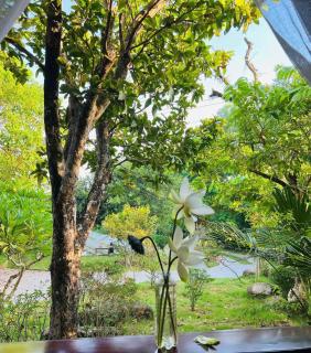 Son Home Garden - Hue - 9
