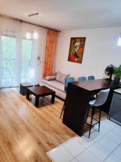 Apartament Podmiejska - Jastrzębie Zdrój - 8