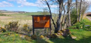 Hillockbrae - 6
