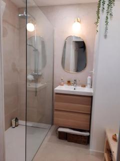 Maison centre Montpellier Jardin et proche plage - 7