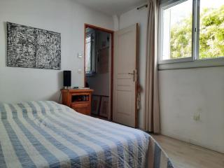 Maison centre Montpellier Jardin et proche plage - 1