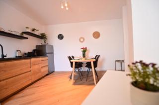 FLH - Tommy's Penthouse - Sibiu - 1
