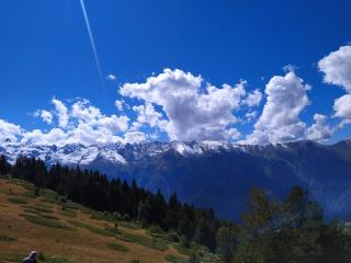 Gujejiani Guest house - 4