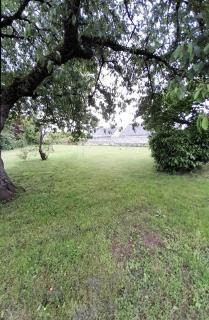 arbre de vie - Les Piraudières - 7