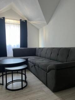 Apartment AS - Nevesinje - 6