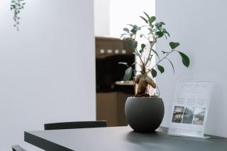 Carlo Apartment - 15 min from Duomo - Milan - 9