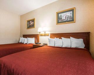 Econo Lodge Glens Falls - Lake George - Glens Falls - 4