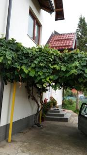 Kuća - Sarajevo - 7