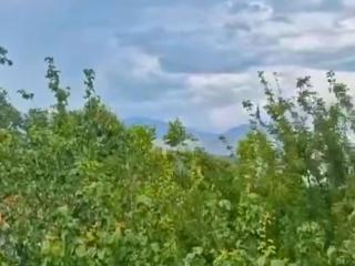 Yuvarlak Çay Yanında Huzur ve Doğa Evi - Beyobası - 2