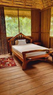 Castaña Amazon Park - 6