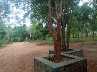 Park view Bungalow Wilpattu - Habawewa - 5
