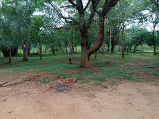 Park view Bungalow Wilpattu - 1