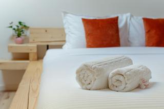 Cabana Natura Toplița - Topliţa - 8