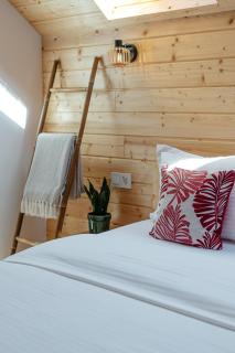 Cabana Natura Toplița - Topliţa - 2