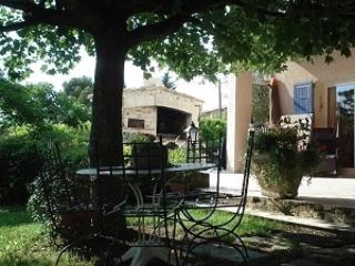 Les Oliviers de Claron - Visan - 1