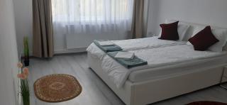 Apartament Antonia&Alex - Brad - 3