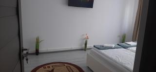 Apartament Antonia&Alex - Brad - 4