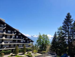 Charmant 1.5 pièce à la montagne - Torgon - 2