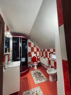 RYD HOUSE Bucovina - Frumosu - 5