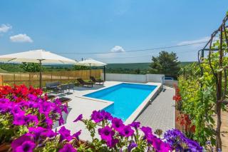 Holiday home with heated pool - Podvršlje - 0