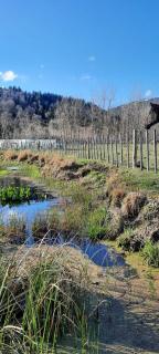 Casas de Campo SMA - San Martín de los Andes - 2