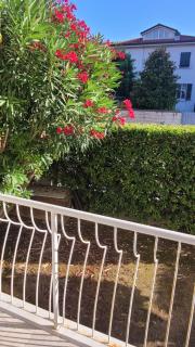 Appartamento Stella Marina a due passi dal mare e dal centro - Marina di Carrara - 5