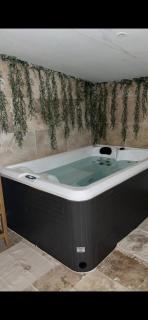 La suite iris - Nîmes - 5