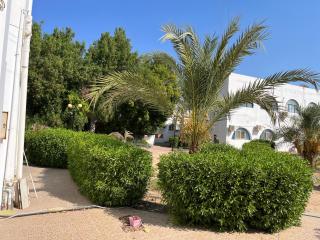 Ninas place - Dahab - 0
