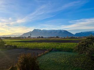 Ferienhaus Am Weitfeld - Ruheoase mit Garten & Bergblick nahe Salzburg - Ainring - 0